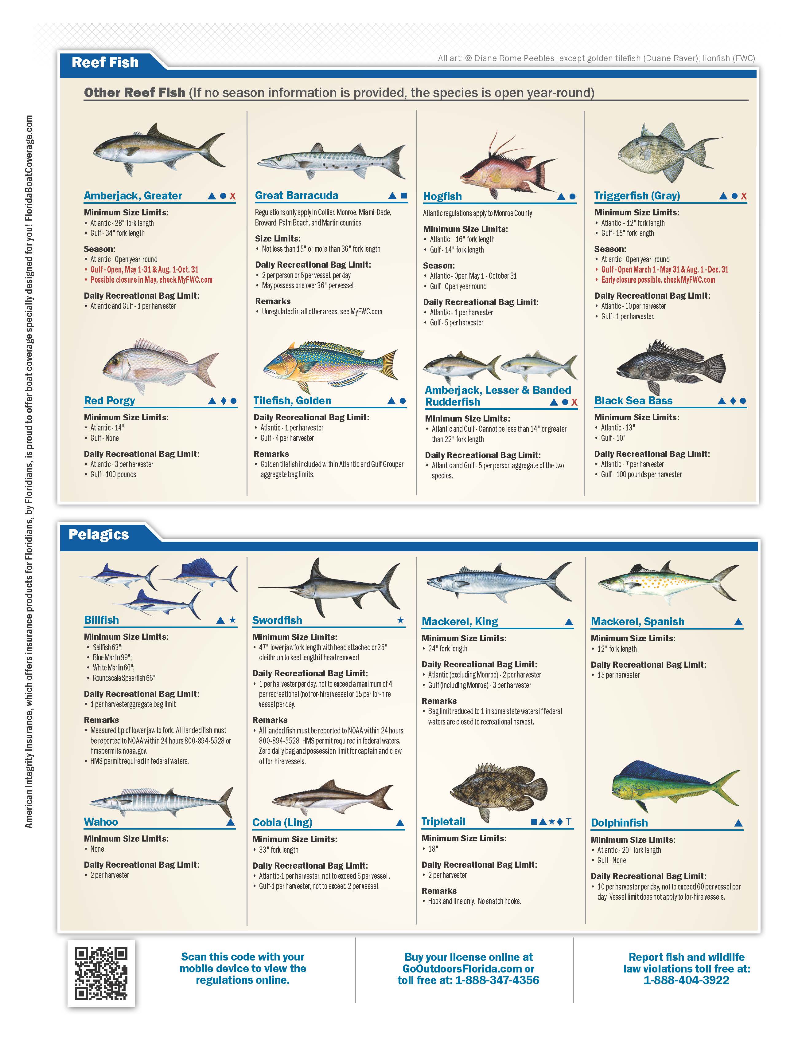 Florida Saltwater Fishing Quick Chart