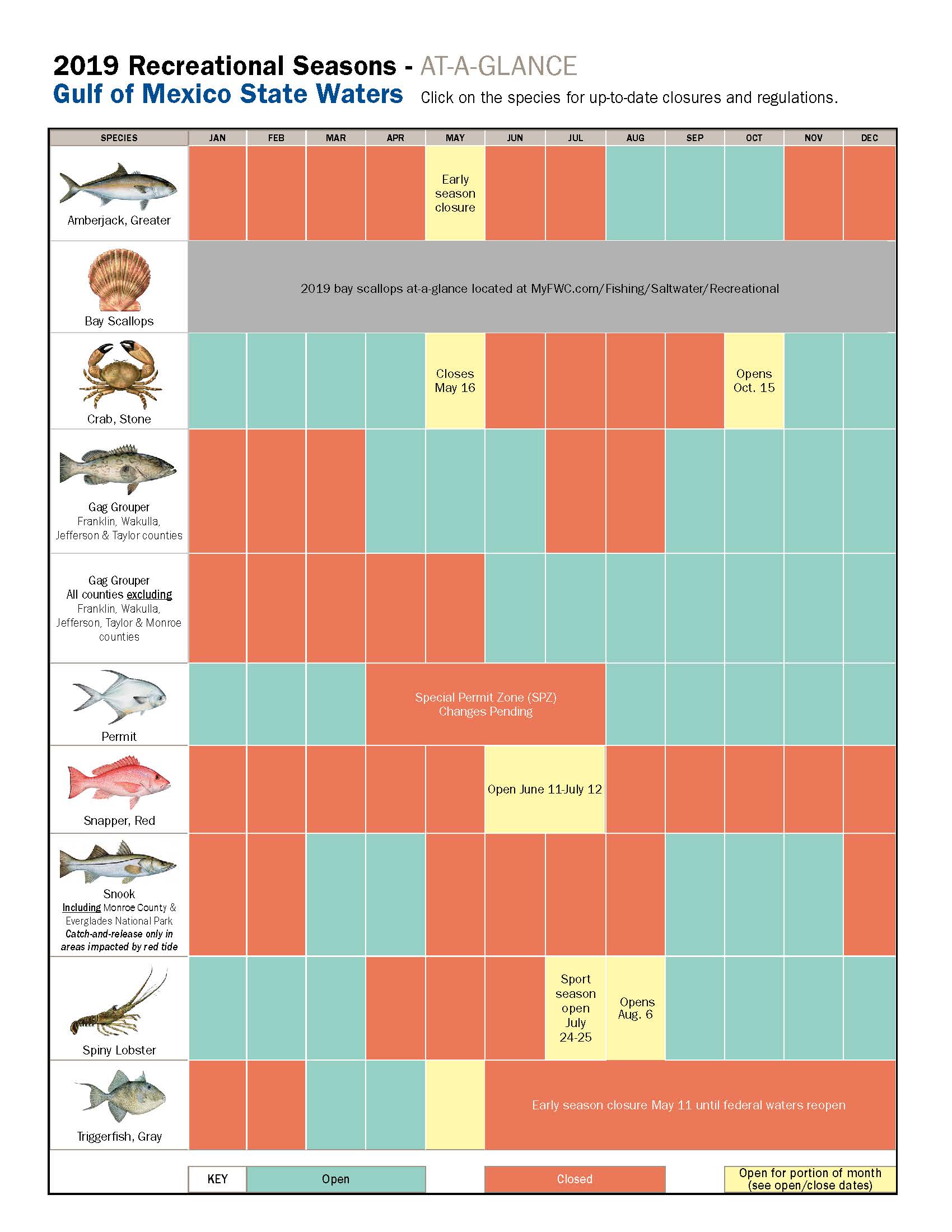 Florida Fishing Regulations Chart