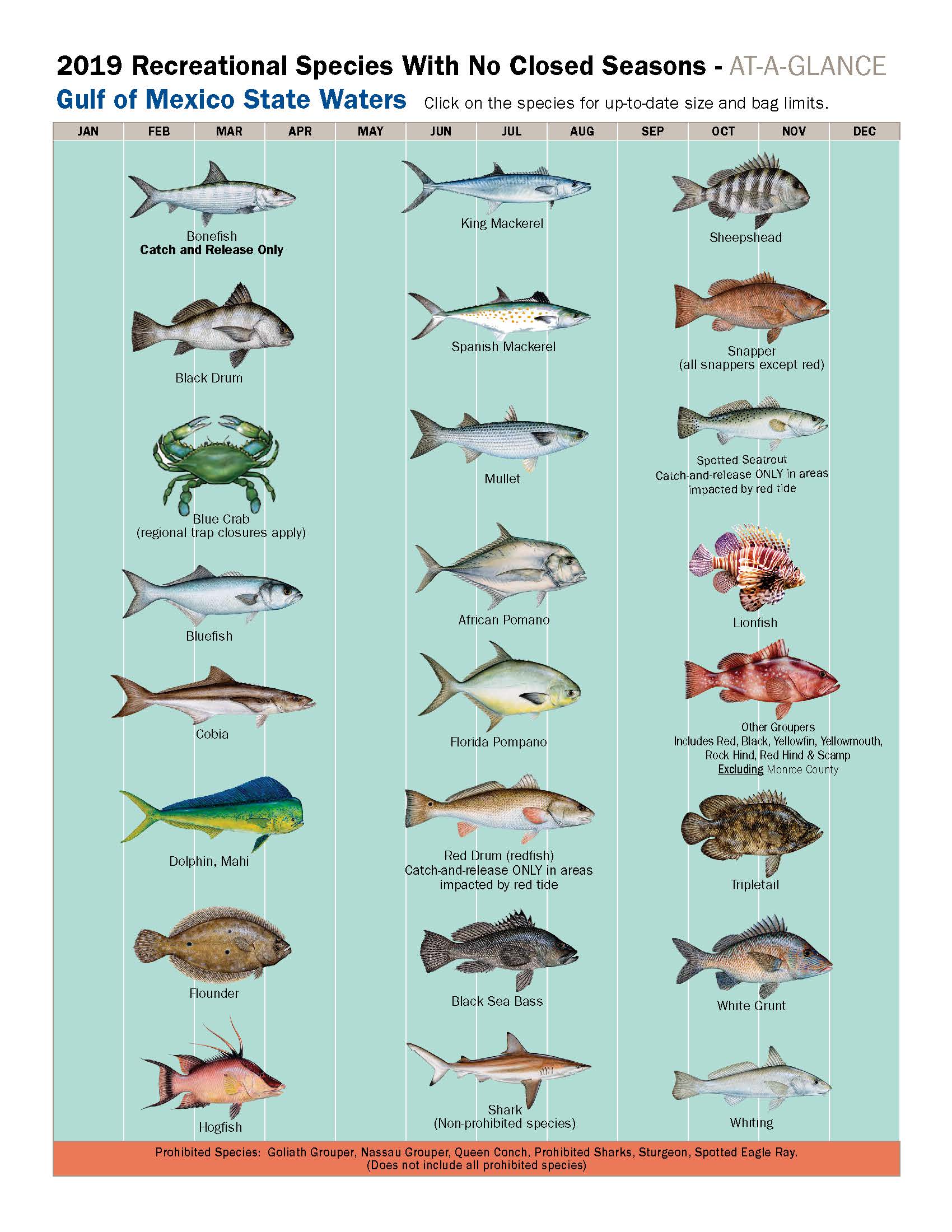 Florida Fishing Seasons Chart